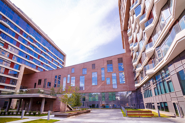 Внутри двора