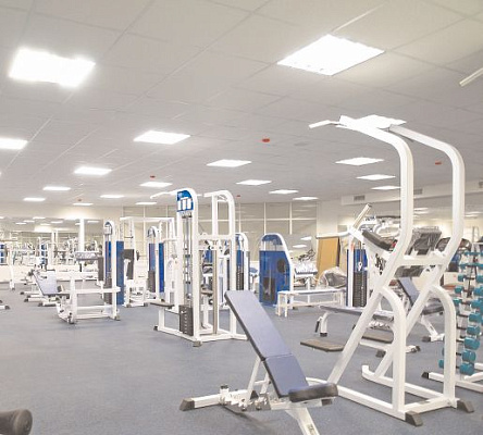 Спортивные площадки