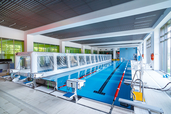 Спортивные площадки